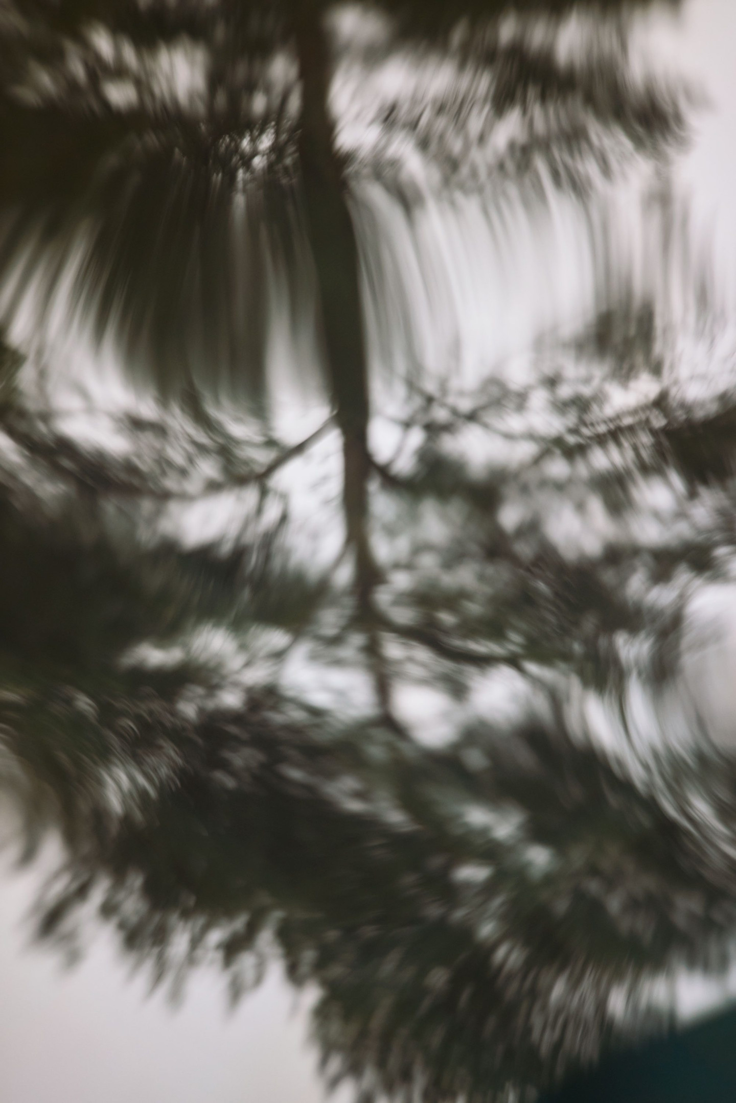 Hetkinen 02 Anton Sucksdorff