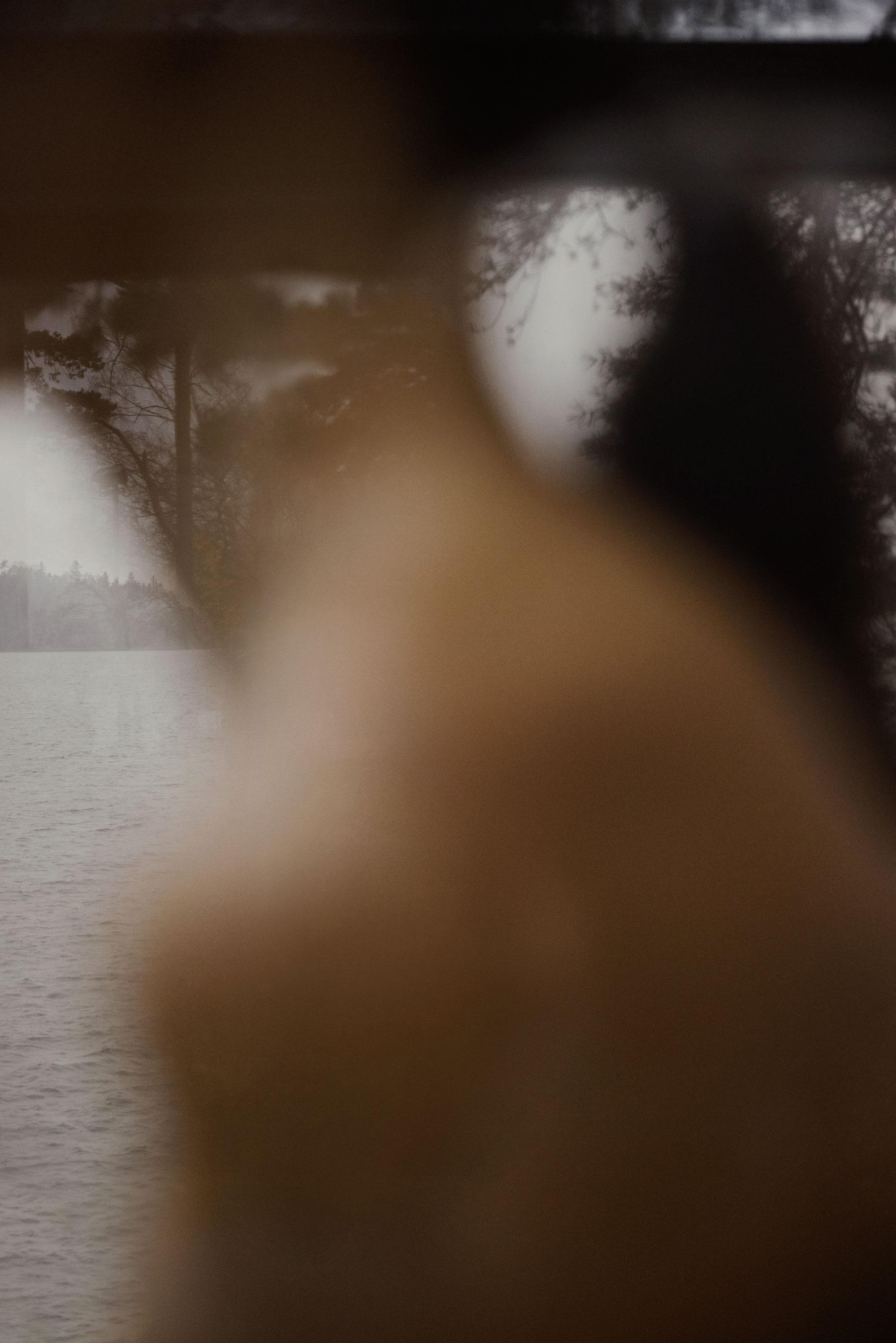 Hetkinen 06 Anton Sucksdorff